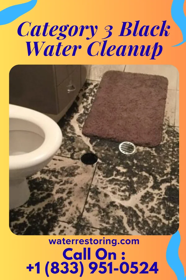 Category 3 Black Water Cleanup in Harrisburg, MO