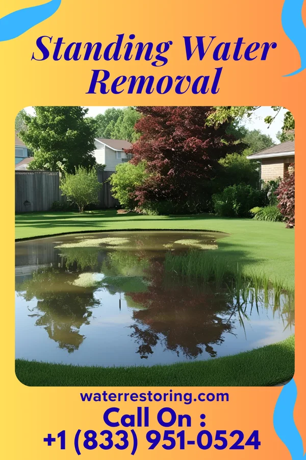 Standing Water Removal in Harrisburg, MO